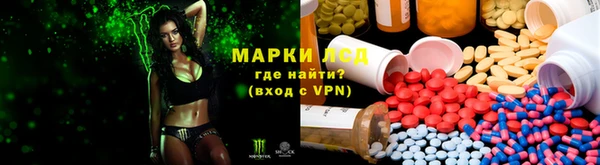 ALPHA PVP Баксан