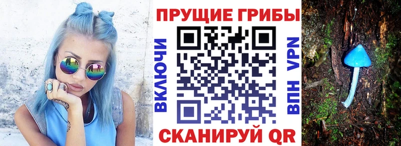Галлюциногенные грибы MAGIC MUSHROOMS  наркота  Каргополь 
